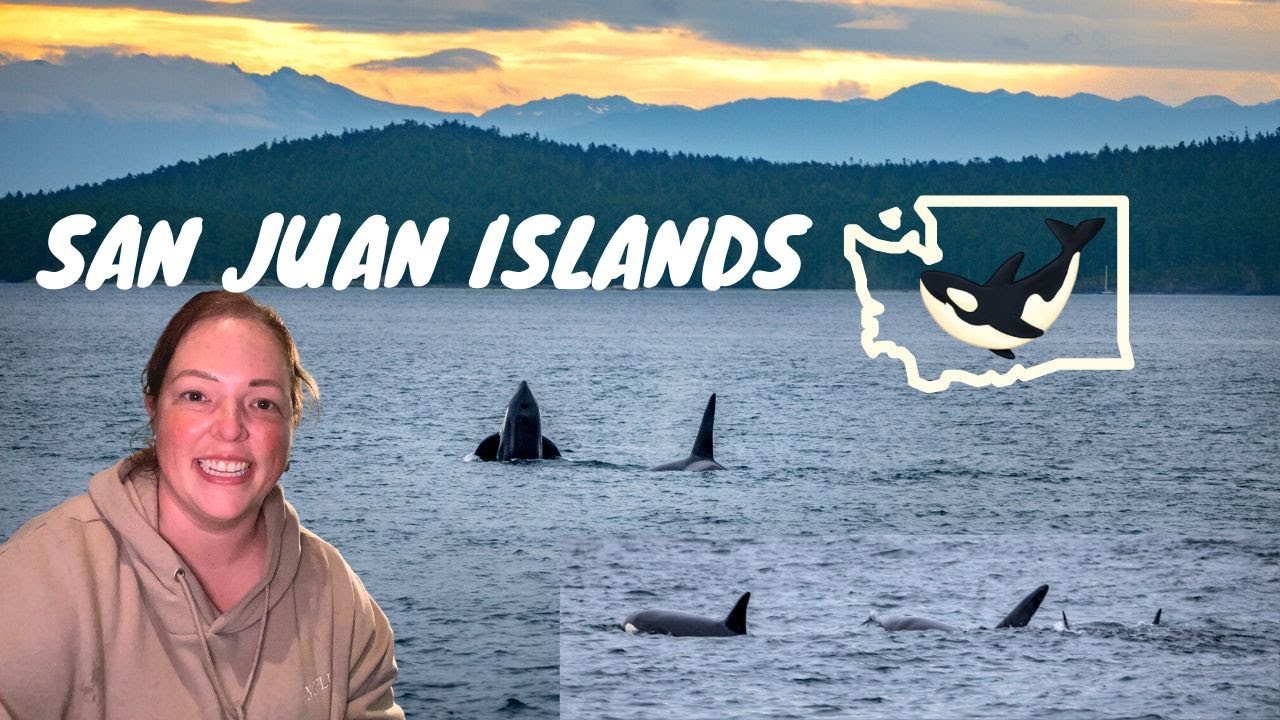 ЛУЧШЕЕ место для наблюдения за китами 🐳 в США | Острова Сан-Хуан, штат Вашингтон