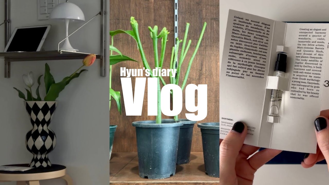 Vlog. 3월 봄을 준비하는 일주일(감기조심하세요/ 해방촌에서 머리하기/ FRAMA 선반에 어울리는 화분을 찾아서/ 군자분즈 boonz/ 4통째 사용하는 마크 앙뜨완 향수)