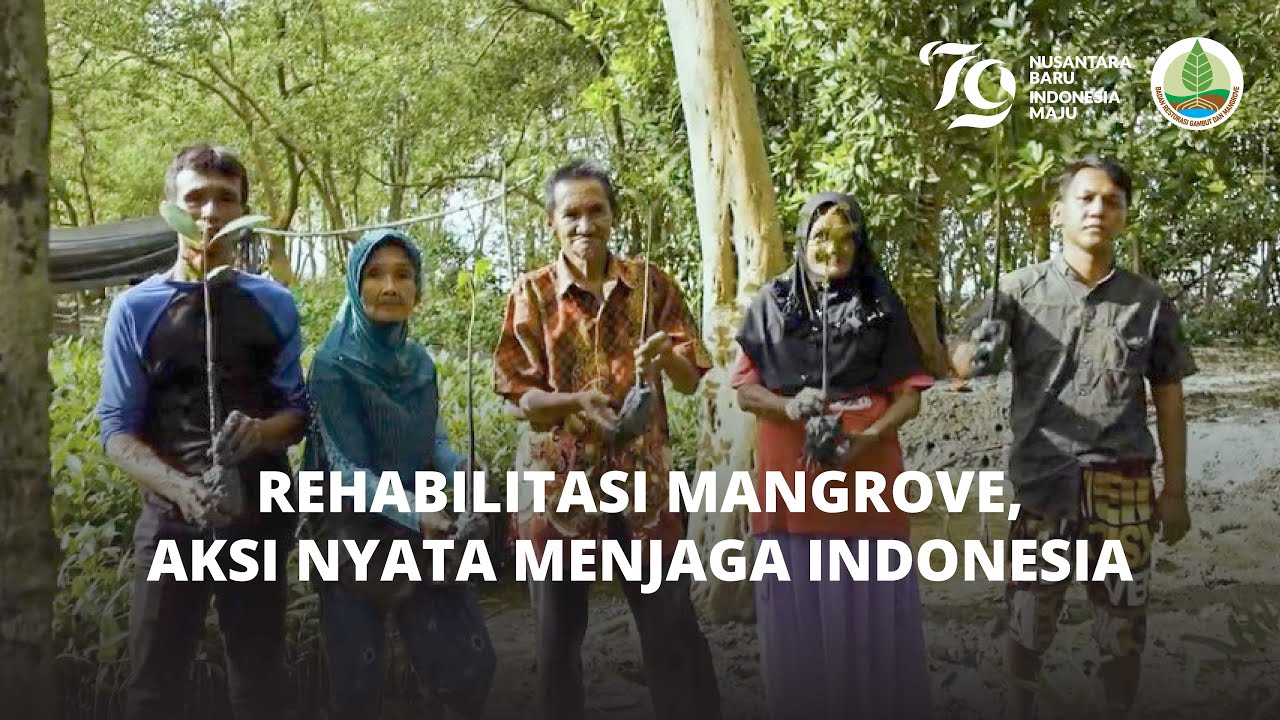 Rehabilitasi Mangrove, Aksi Nyata Menjaga Indonesia