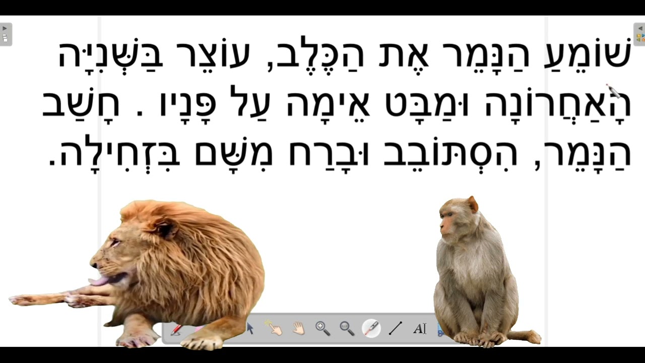 قصة النمر والكلب باللغة العبرية للمبتدئين