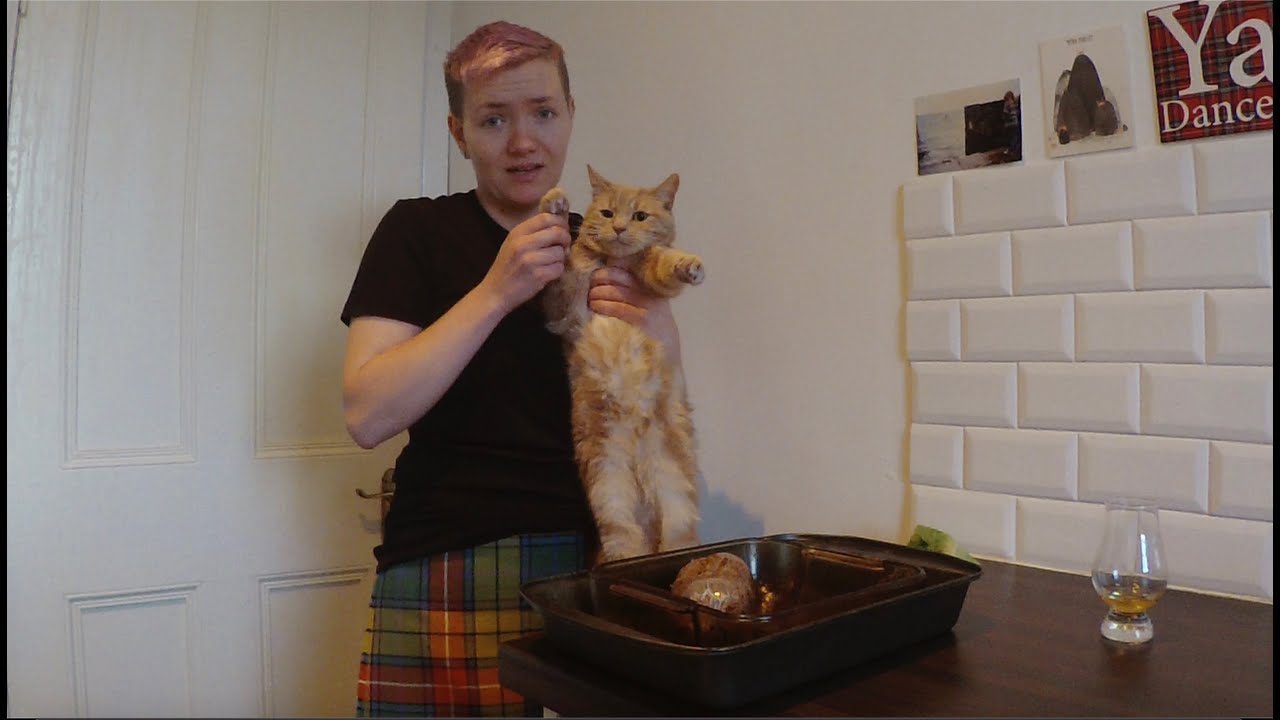 Address to a Haggis | Burns Night 2021...with added cats