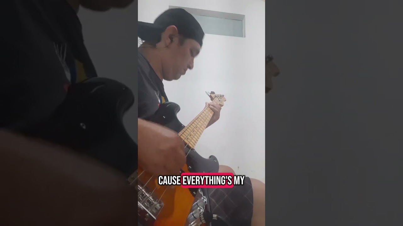ALL MY FAULT - FENIX TX BASS COVER 