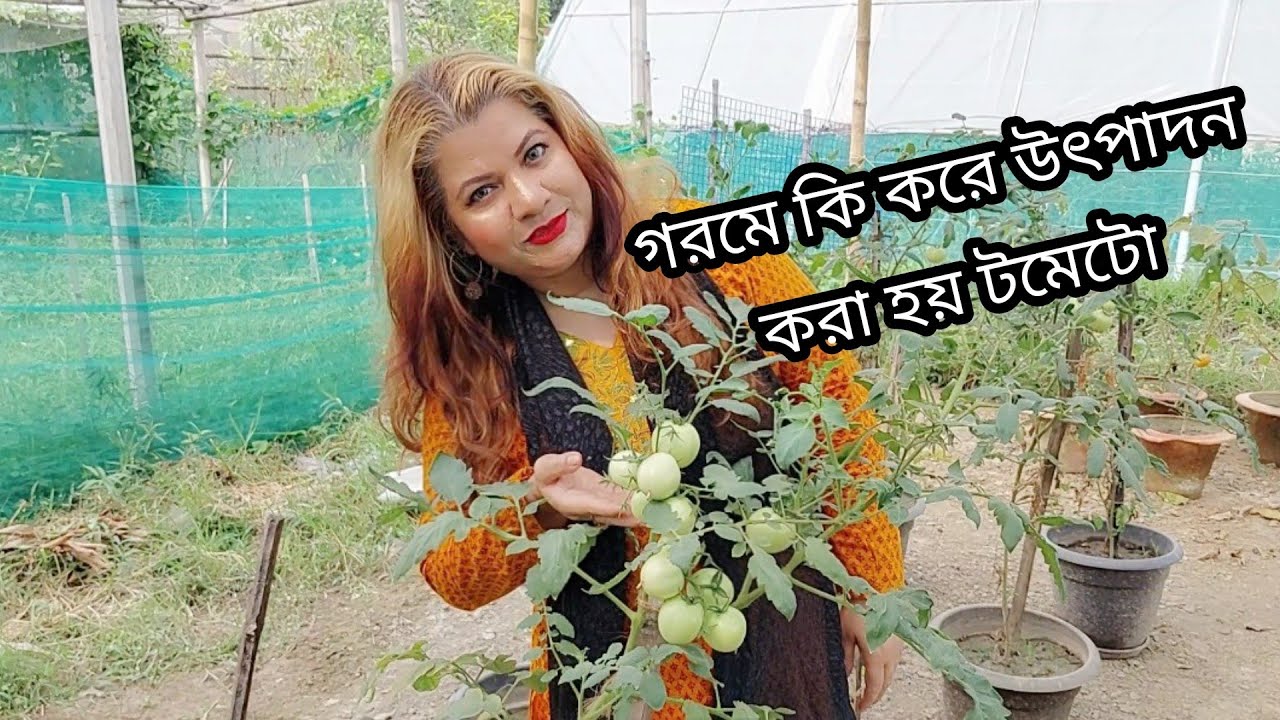 কৃষি বিশ্ববিদ্যালয়ে কি নিয়ে হয় গবেষনা? ||  How do they research in an Agricultural University?🤨