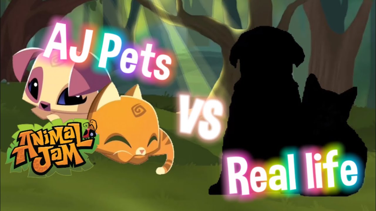 Real Life VS Animal Jam PETS | Bandits Animal Jam