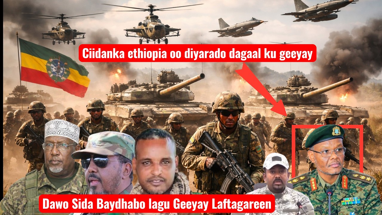 Dawo Laftagareen oo  baydhabo lagu geeyay ciidan iyo diyarado dagaal ethiopia hool culus ayeey haysa