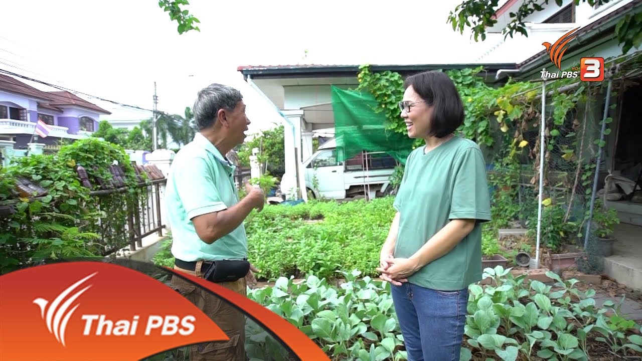 ​ปลูกผักหน้าบ้าน : สูงวัยไทยแลนด์ (ลุยไม่รู้โรย)