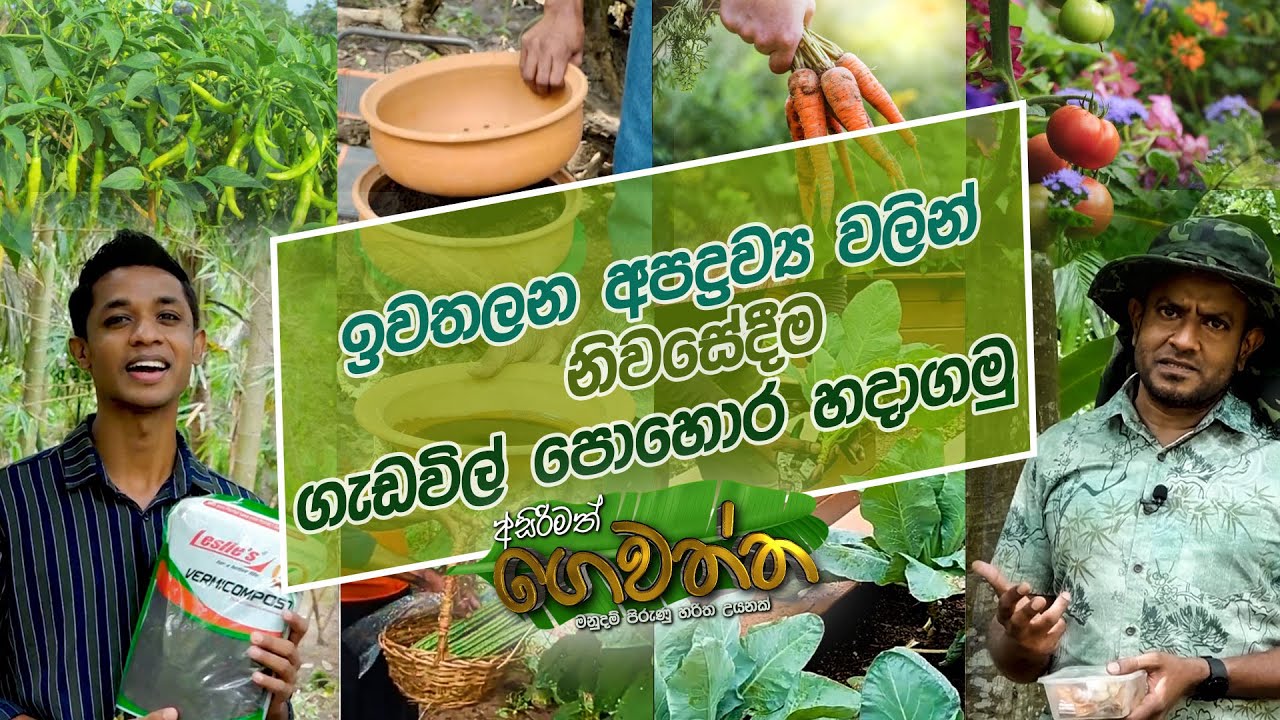 ඉවතලන අපද්‍රව්‍ය වලින් නිවසේදීම ගැඩවිල් පොහොර හදාගමු  | Asirimath Gewaththa | 2022.11.05