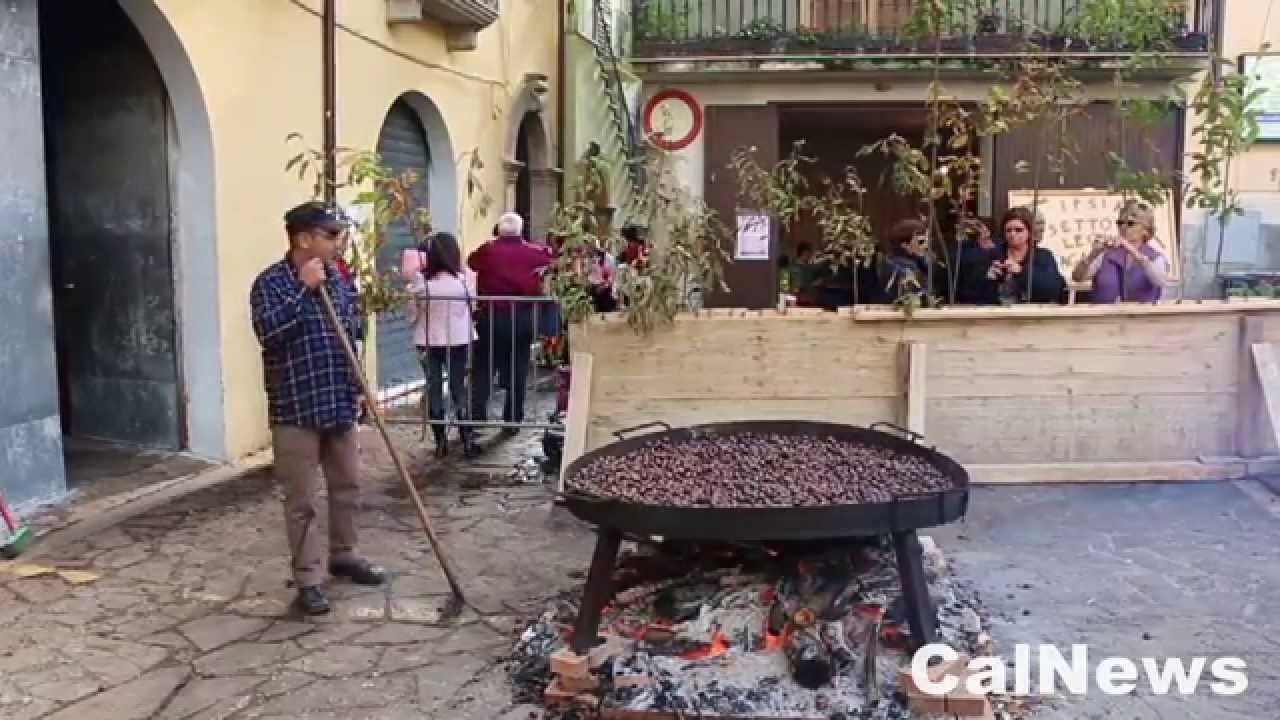 Sant'Agata d'Esaro :: 09/11/2014 :: Quarantesima edizione della 