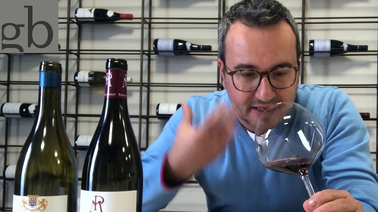 I pinot noir di Nuits St Georges scopri  le differenze fra il nord e il sud del villaggio