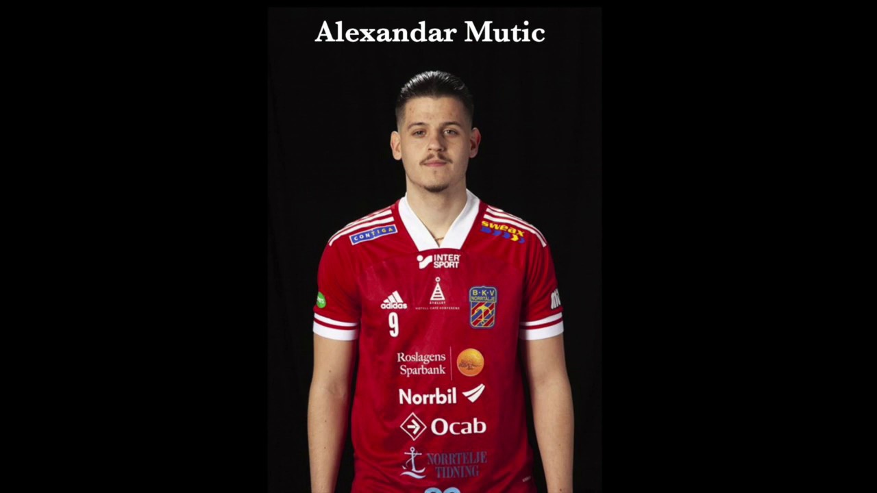 Alexandar Mutic - Goals/Skills - date: 2020-05-28