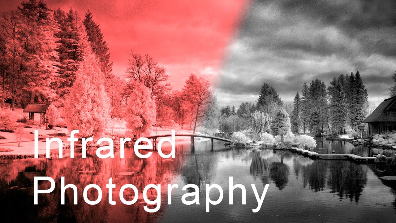 Infrared photography: capturing Scotland's Japanese Gardens in black and white