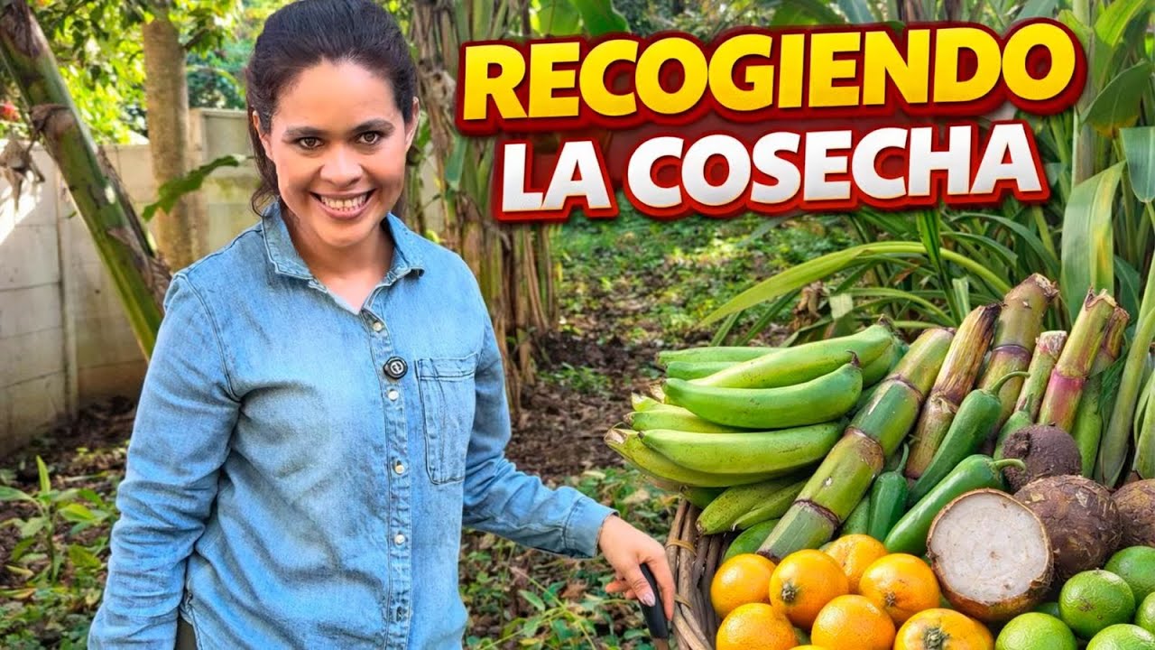 De hambre no muero ya! MI TIERRA PRODUCE TODO 🤩