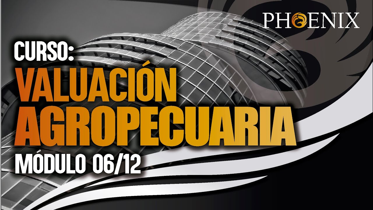 Curso: 