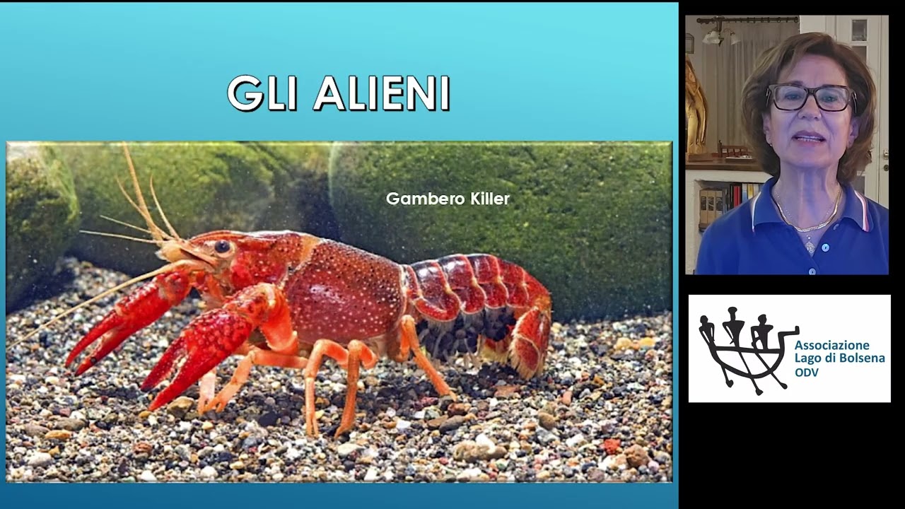 CLASSE SECONDA
