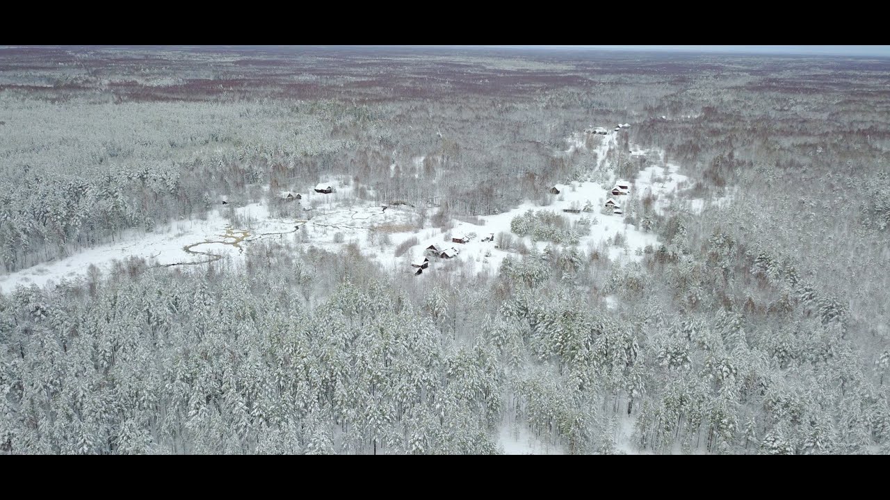 Пришли в ЛЕСНОЕ ПОСЕЛЕНИЕ, а там НИКОГО НЕТ. Деревня Красная Звезда. Нижегородчина. ПЕШИЙ ТУРИЗМ #1