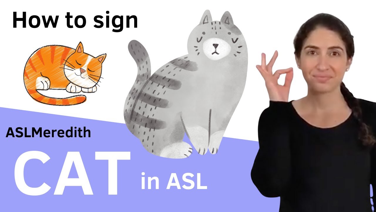 Как передать жест &laquo;CAT 🐈&zwj;⬛&raquo; на ASL (американском языке жестов)