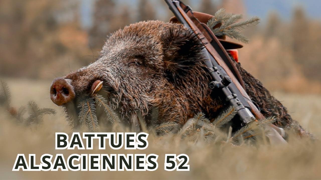BATTUES ALSACIENNES 52