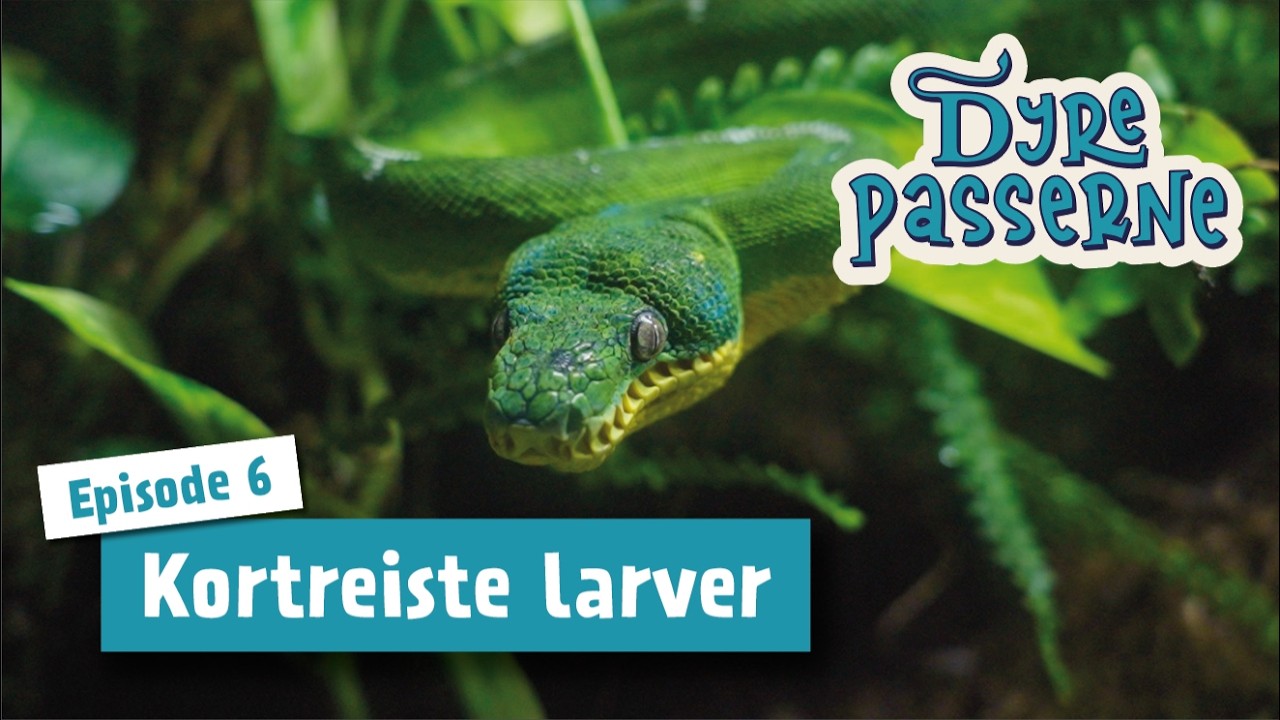 Kortreiste larver - Dyrepasserne S15 E06