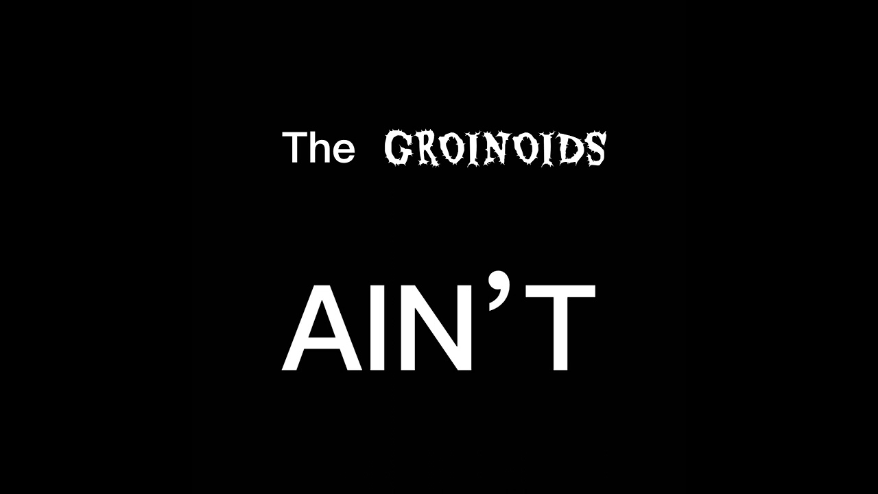 Ain&rsquo;t by The Groinoids