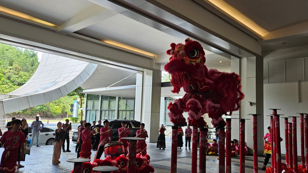 Lion Dance in the Year of the Horse | Johor, Malaysia