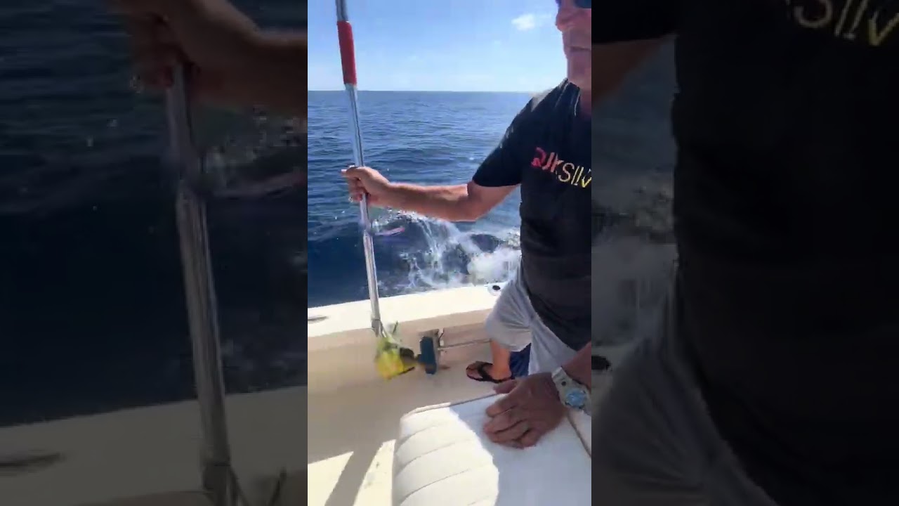 I Caught a Fish… Then My Dog JUMPED Into the Ocean! 😂🌊🐶 