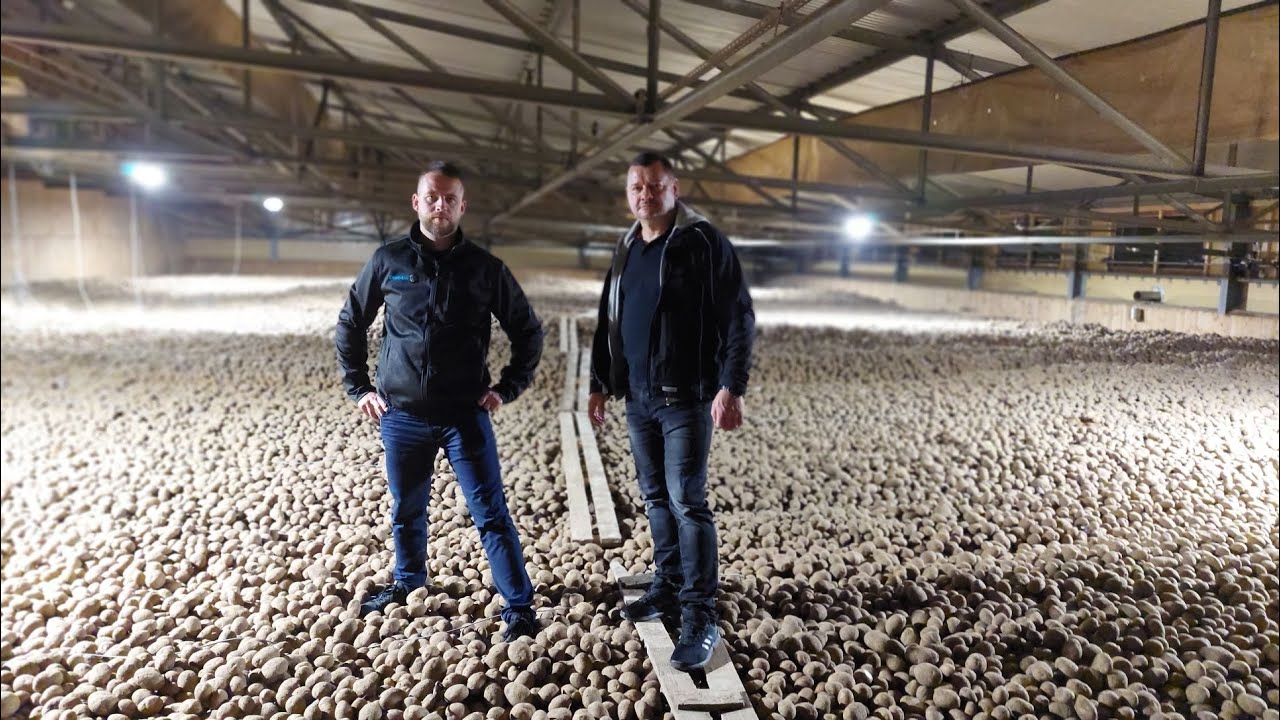 W zmodernizowanej przechowalni ziemniaków Farm Frites
