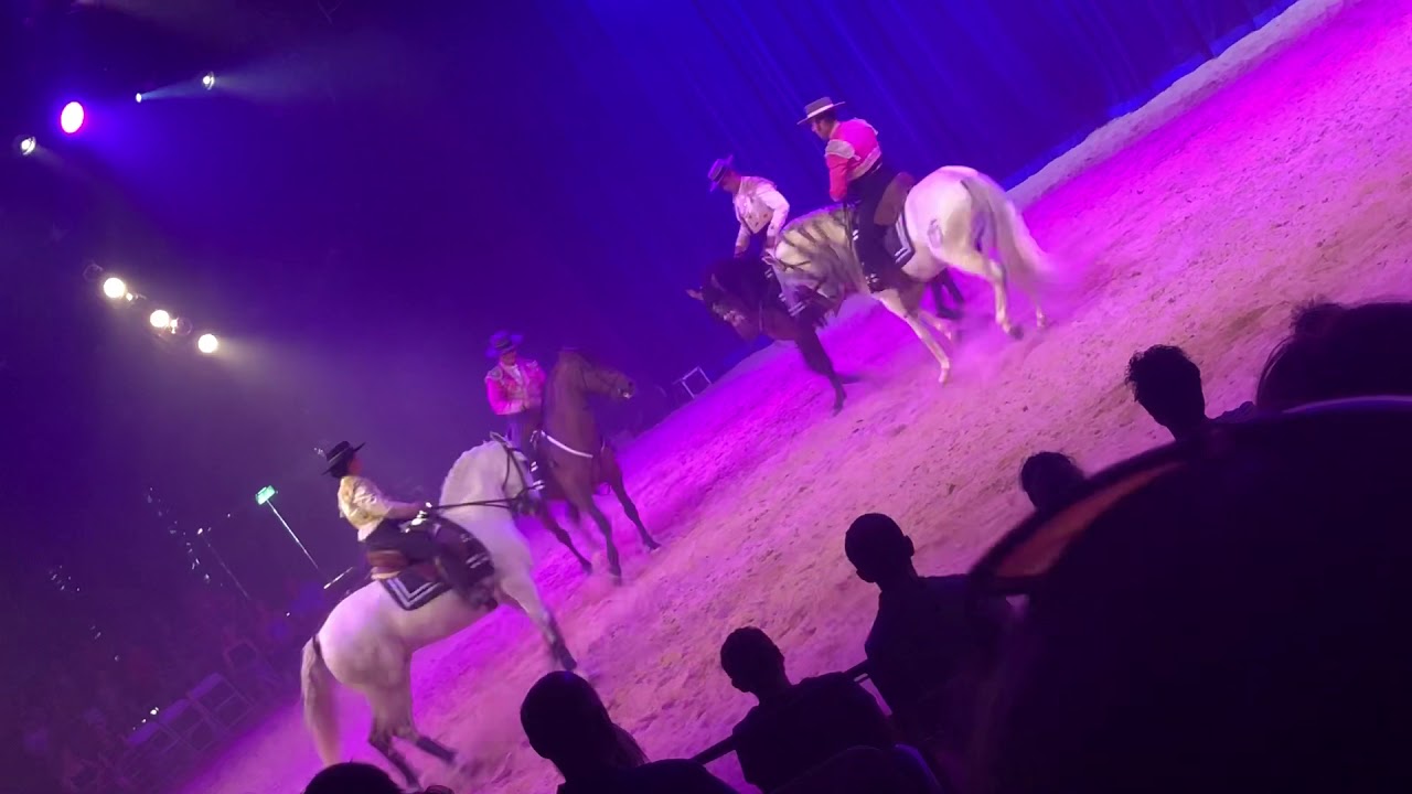 The Spirit of the Horse Show 2018