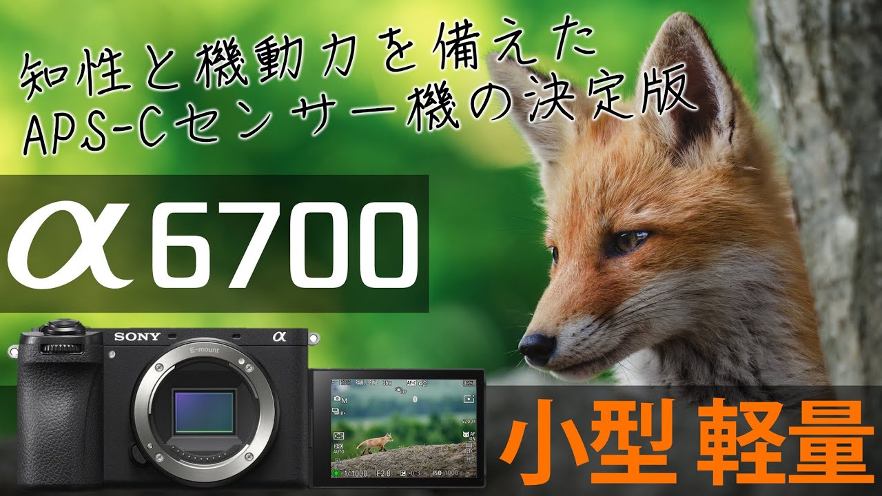 【α6700】小型軽量のAPS-Cセンサーαの決定版、α6700の魅力をご紹介します