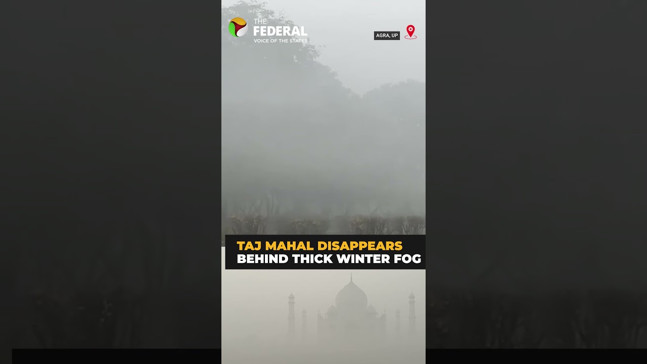 Dense layer of fog covers Agra; low visibility at Taj View Point | #shorts