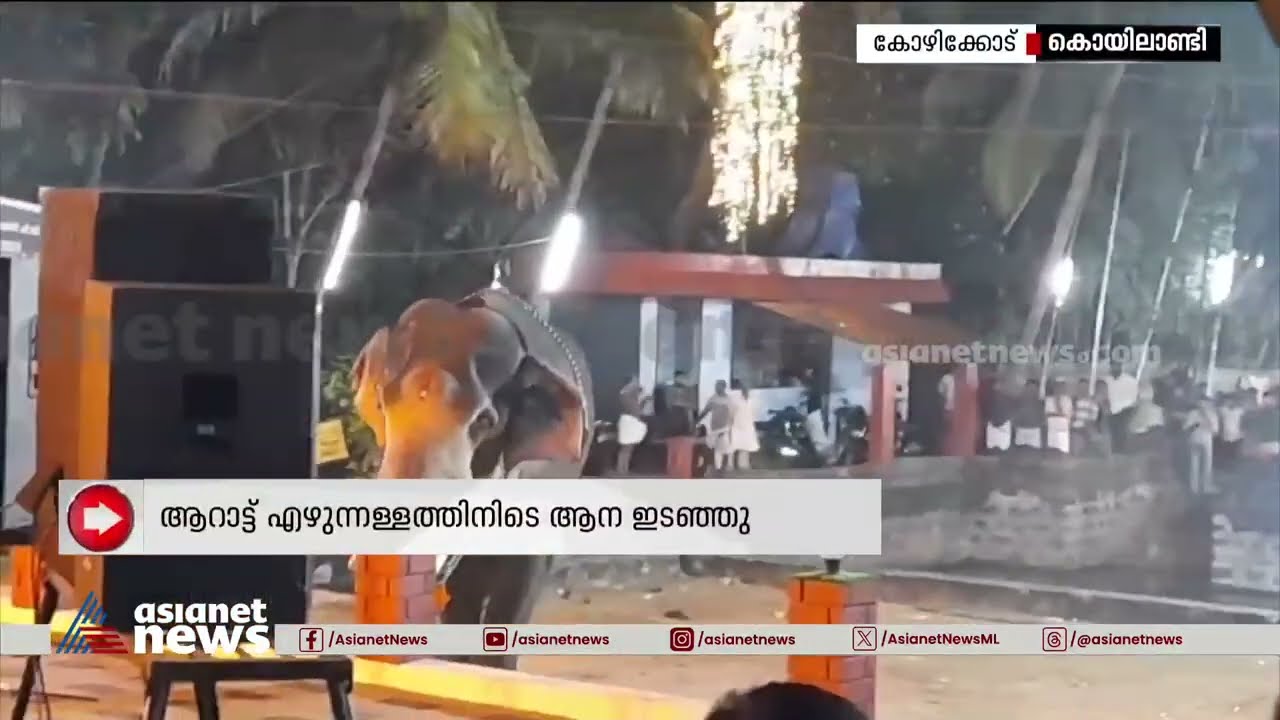 ആറാട്ട് ഉത്സവത്തിനിടെ ആന ഇടഞ്ഞു | Elephant attack | Kozhikode