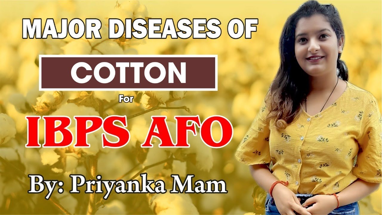 Major diseases of Cotton (IBPS AFO)