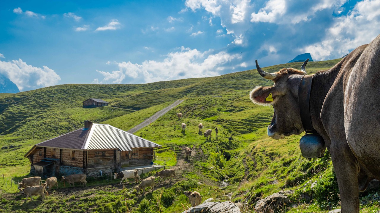 The fascinating life of alpine farmers in Switzerland