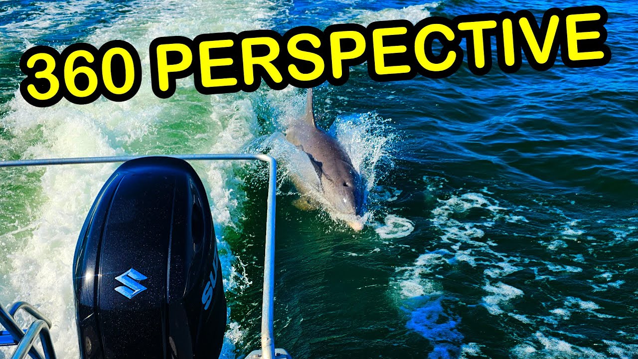 Dolphins 1/22/26 Long 360 Cam