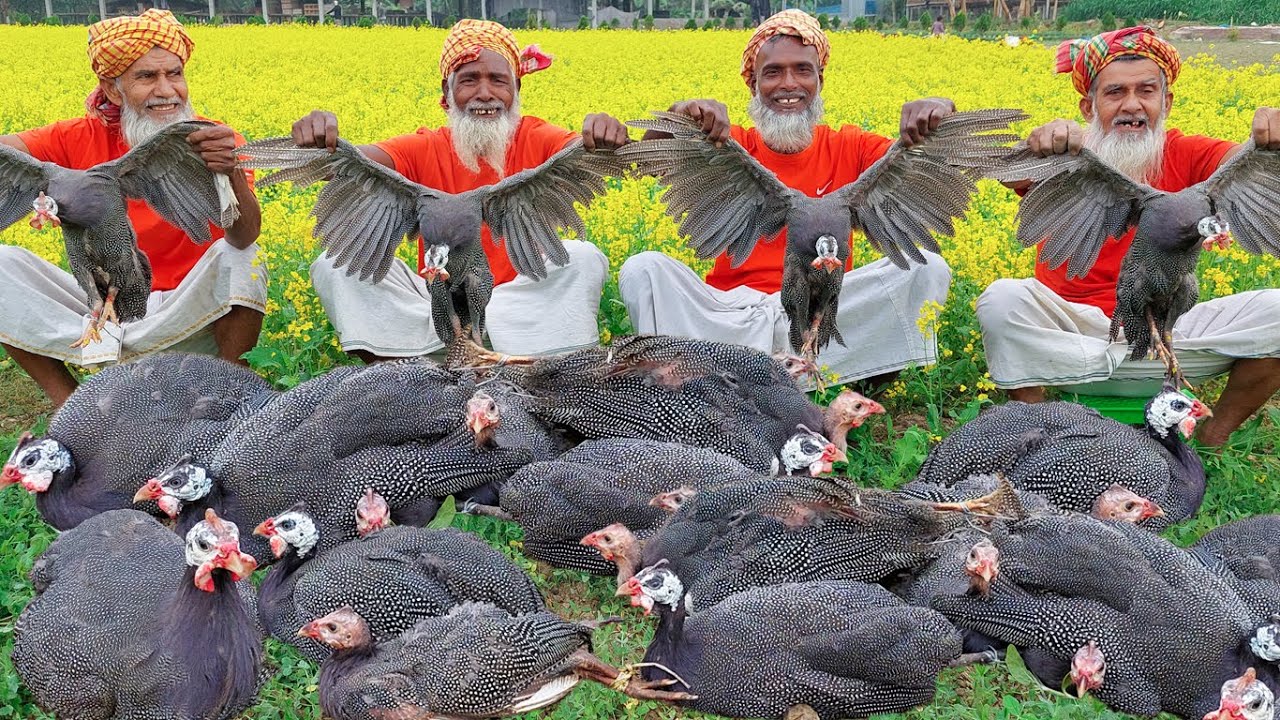 24 Pieces Titir Birds Meat Curry Recipe - Special Food Cooking by Grandpa for Unfortunate People