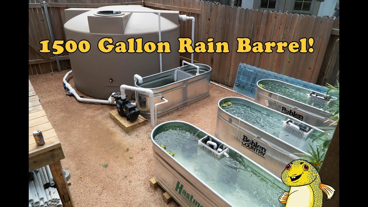 1500 Gallon Rain Barrel and Backyard Fish Breeding Project