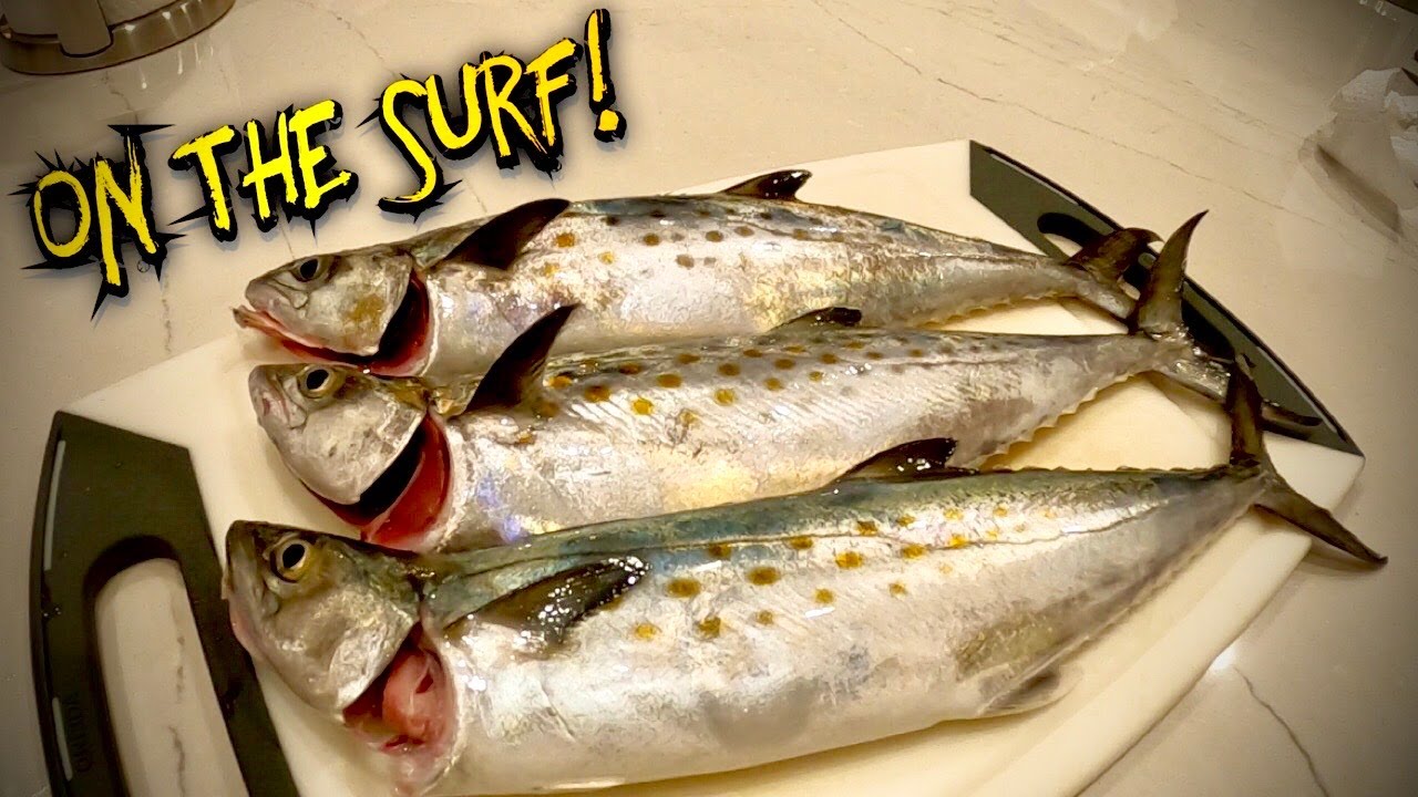 Surf Fishing VA BEACH for Spanish Mackerel!!! Super Fast Retrieve! (Catch And Cook)