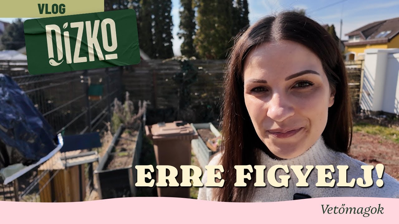 Vetőmagok: Erre figyelj!  | VLOG #4