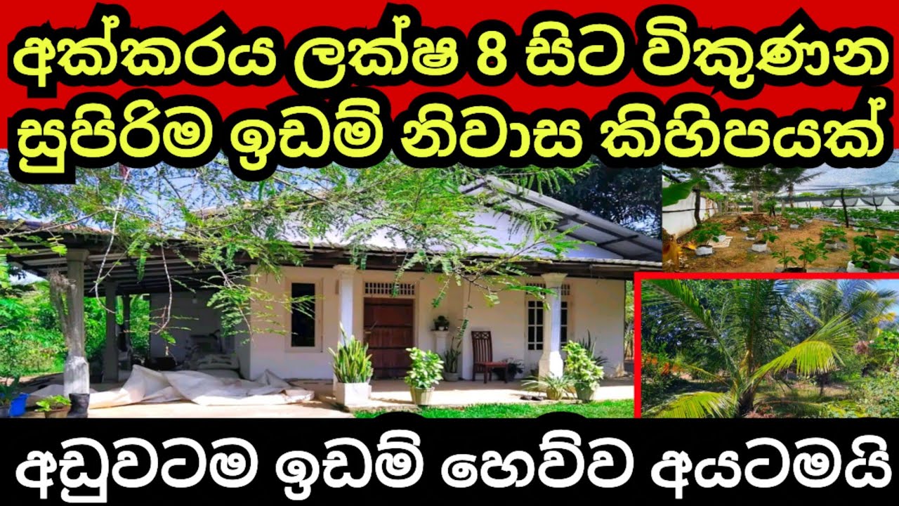 අක්කරය ලක්ෂ 8 සිට විකුණන නිවාස ඉඩම් | Coconut land | Aduwata idam | House for sale | Pol idam| Lands