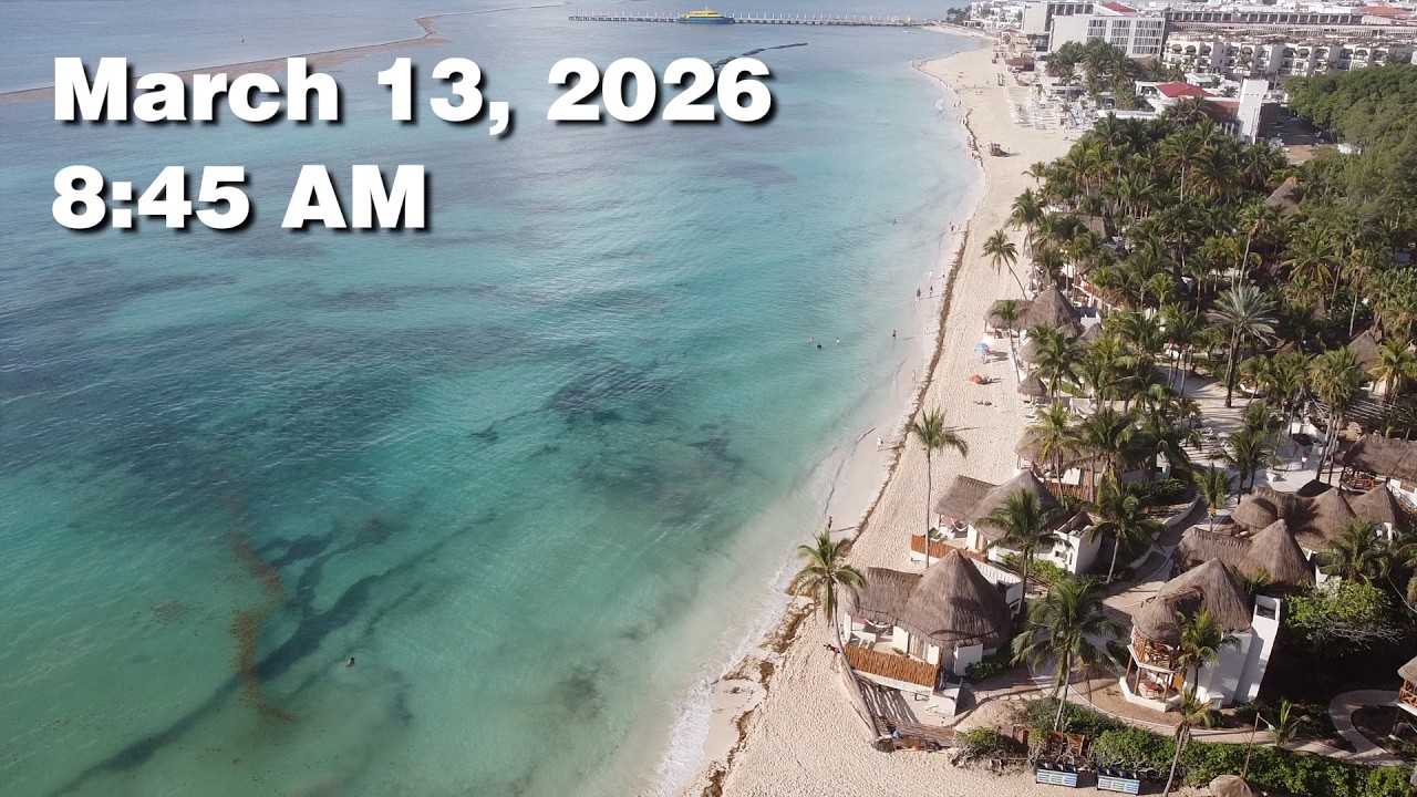 Daily Sargassum Sargasso Seaweed Report at Playa del Carmen, Mexico - March 13, 2026 #sargassum