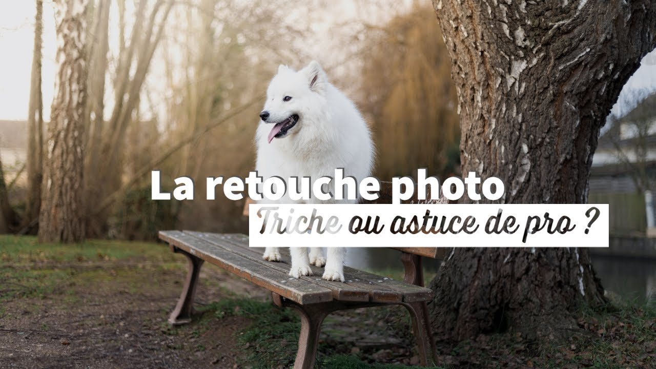 Post-traitement de photos : triche ou astuce de pro ?