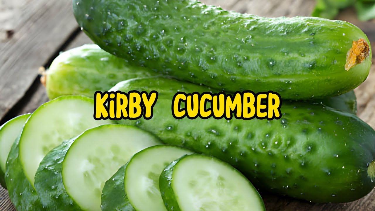 The Versatile Kirby Cucumber: Culinary Uses and Health Benefits Explored