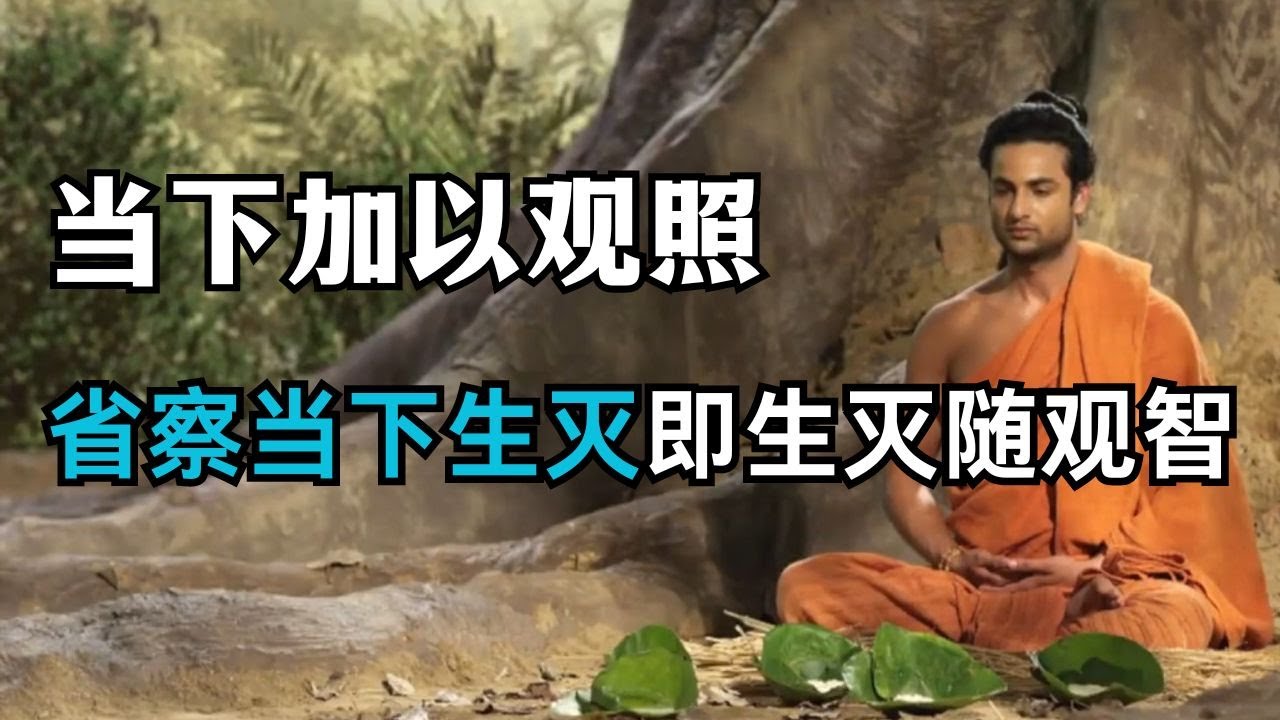内观：当事物生起时，当下加以观照。”“省察当下的生灭即是生灭随观智 【显密法缘】 【显密法缘】