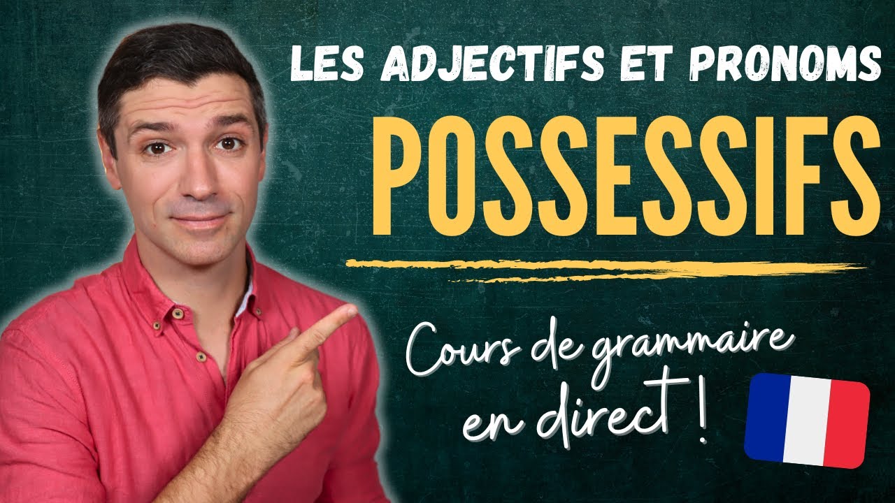 GRAMMAIRE fran&ccedil;aise B1 - Adjectifs et pronoms POSSESSIFS !
