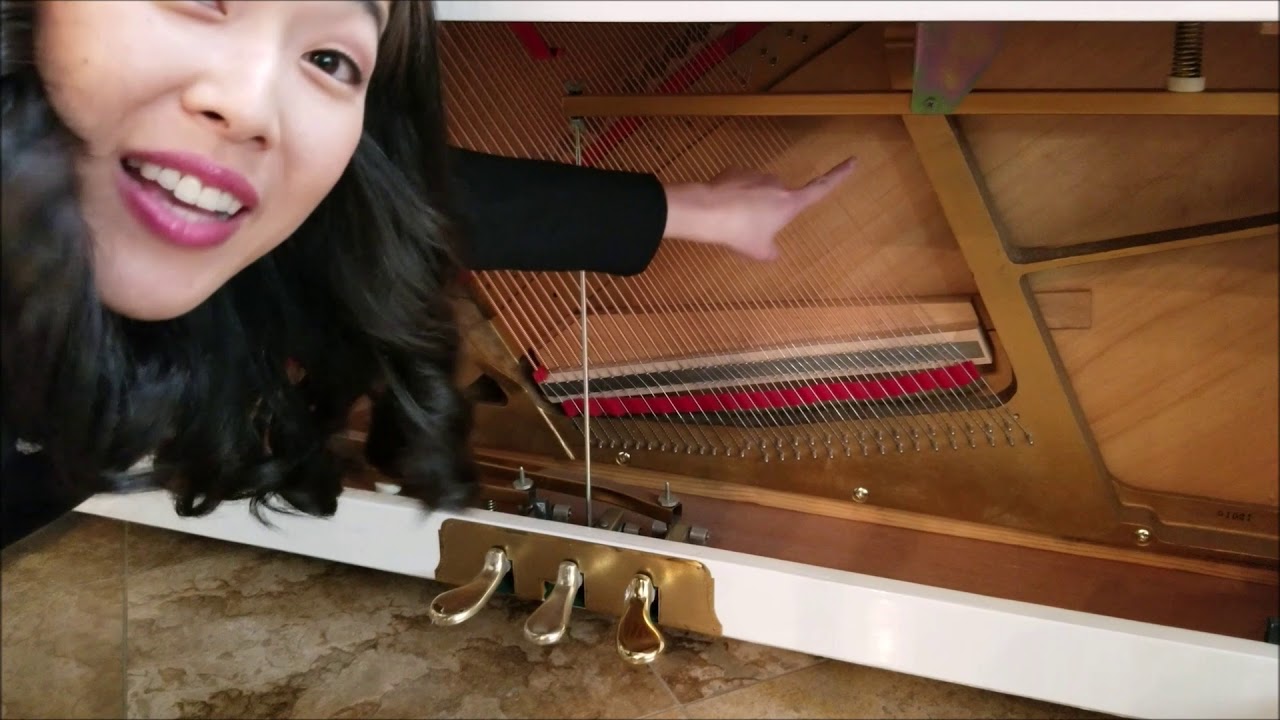 Piano Lesson 006: How Pianos Work! (A Look Inside the Piano - The Parts of the Piano)