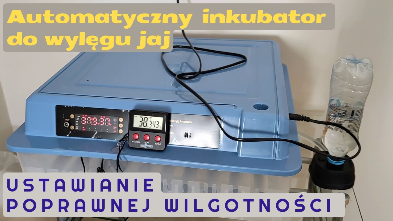 Automatyczny inkubator do wylęgu jaj - ustawianie poprawnej wilgotności // Test wilgotności