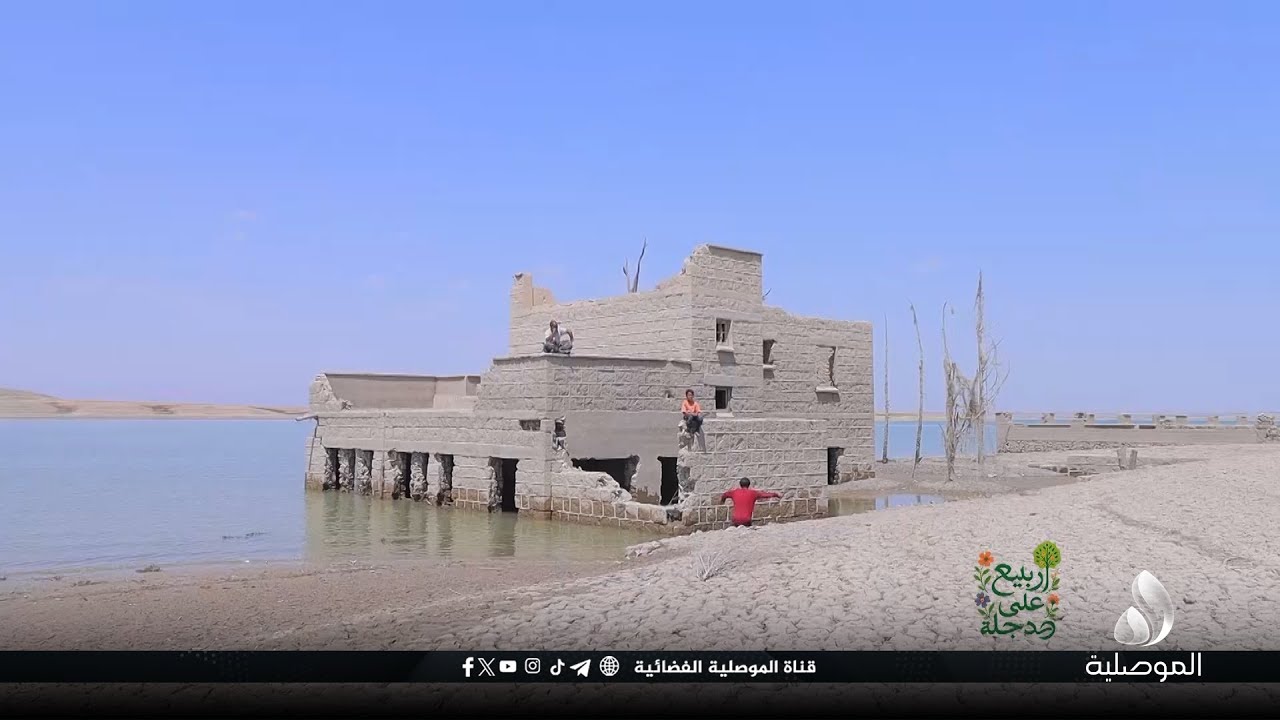 ربيع على دجلة - ناحية زمار