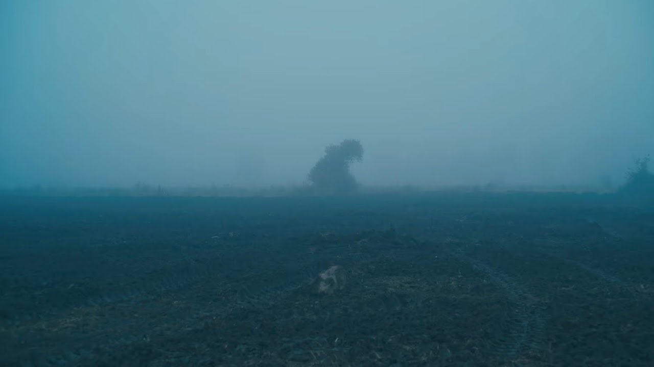 Simple But Pretty #48  (Sigma FP | Cinema DNG Raw | Canon FD)