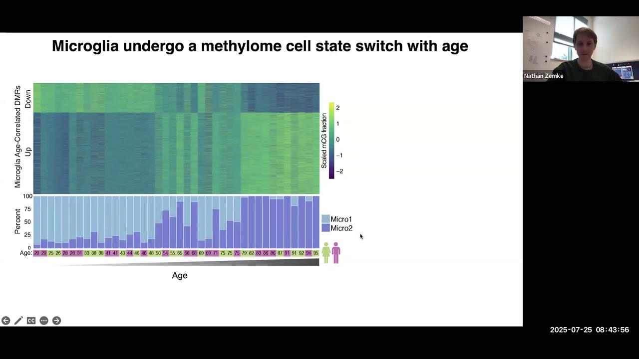 Epigenetic and 3D genome reprogramming during the aging of human hippocampus