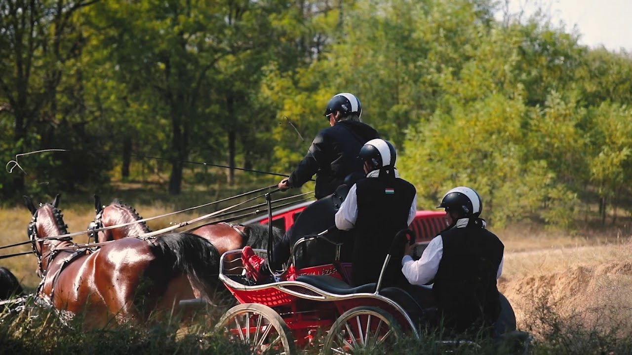 Lázár Zoltán kilencszeres fogathajtó világbajnok, a KB Autoteam Jeep nagykövete.