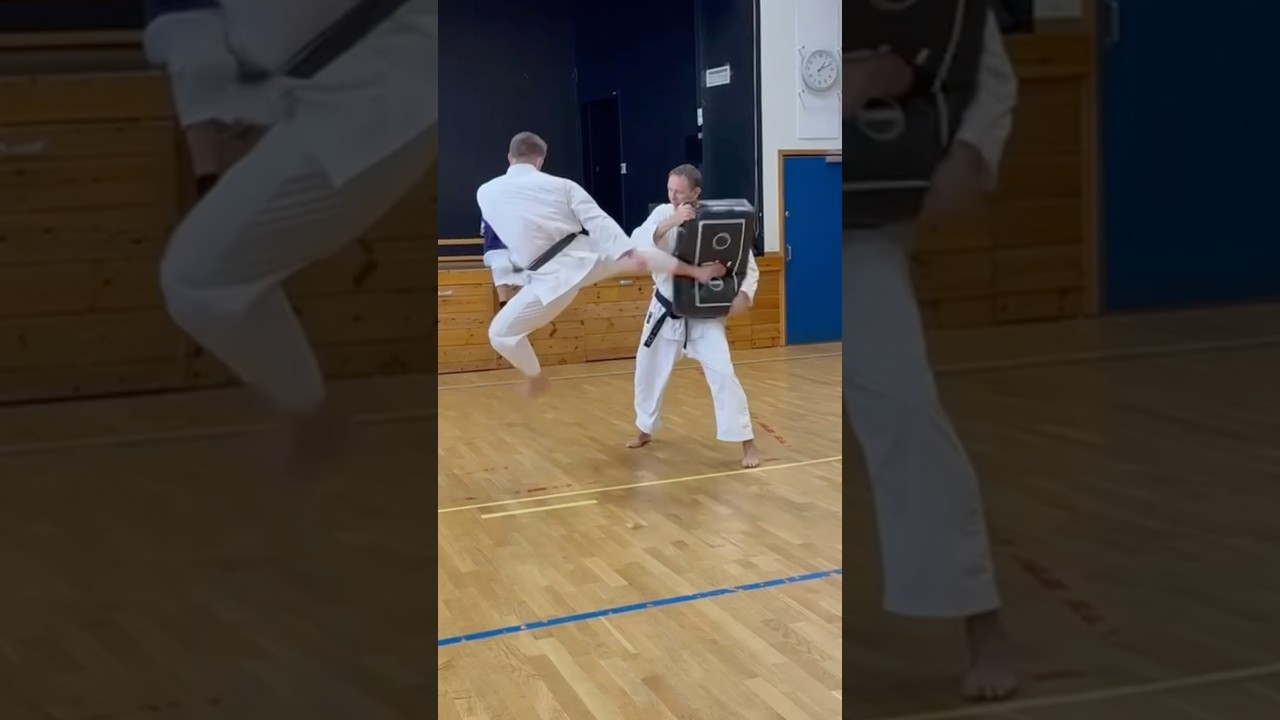 Roundhouse kick - (Mawashi Geri) variations 🥋  #karate #martialarts #shotokan #kicks